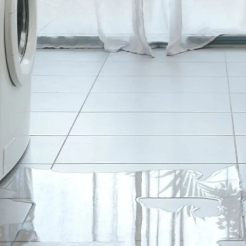 Appliance Leak Cleanup in Philo, IL