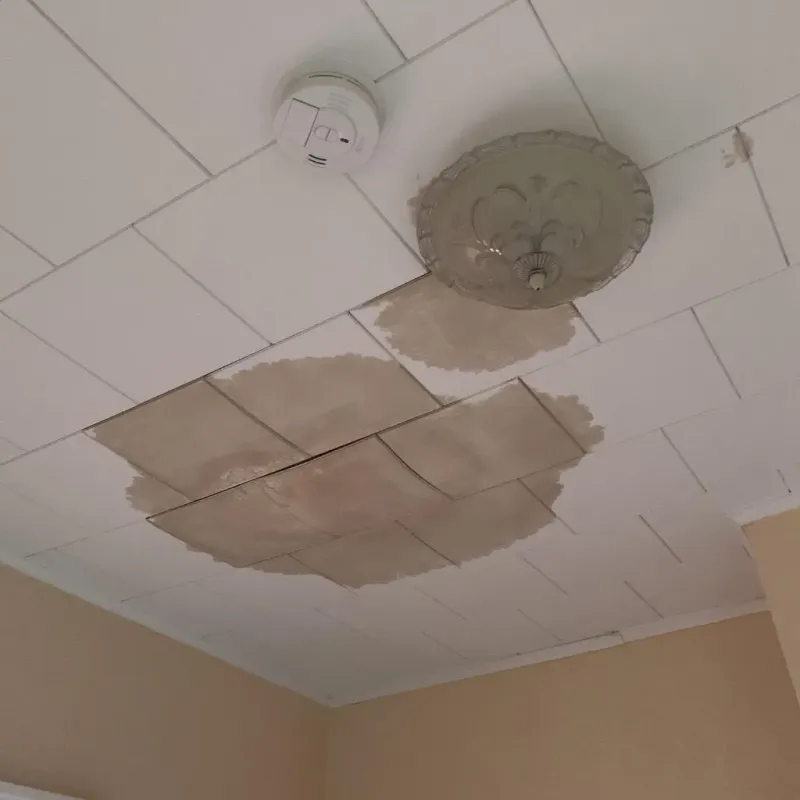Ceiling Water Damage Repair in Philo, IL