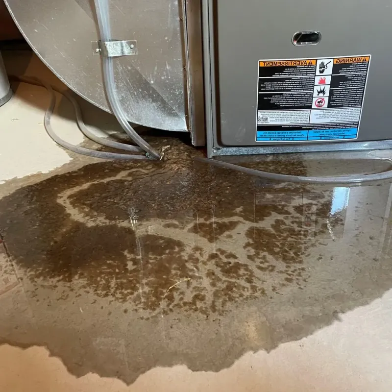 Pipe Burst and Leak Restoration in Philo, IL