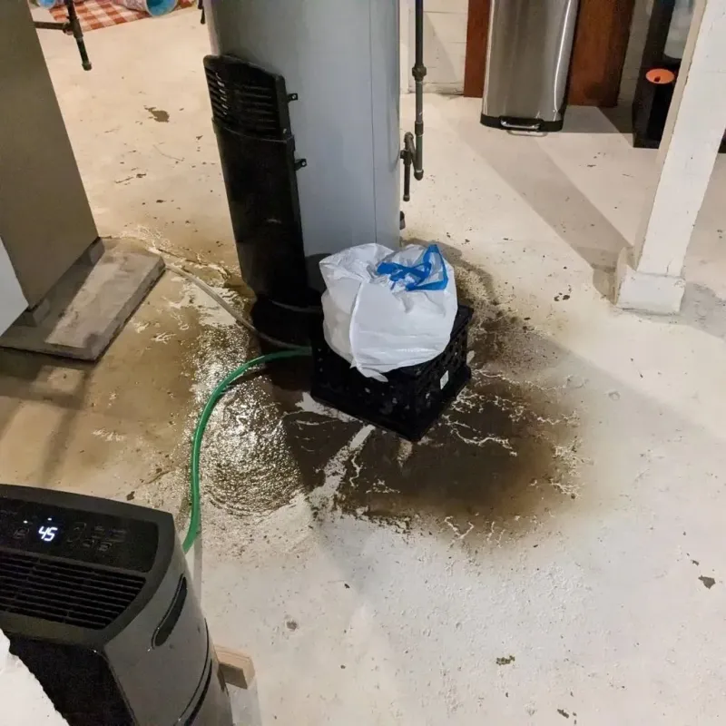 Sewage Backup Cleanup Service in Philo, IL